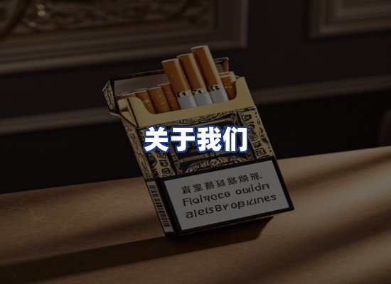 专业团队